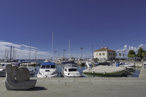 AdobeStock_280247335.jpeg