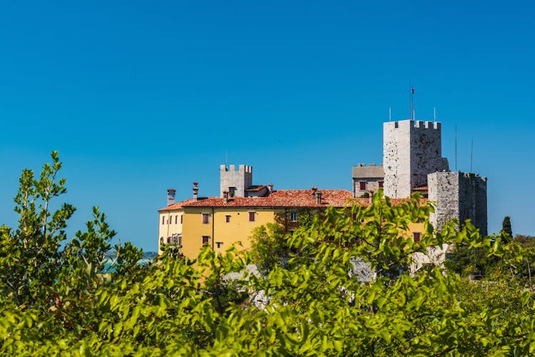 Guided tour to Grotta Gigante and Duino Castle from Trieste
