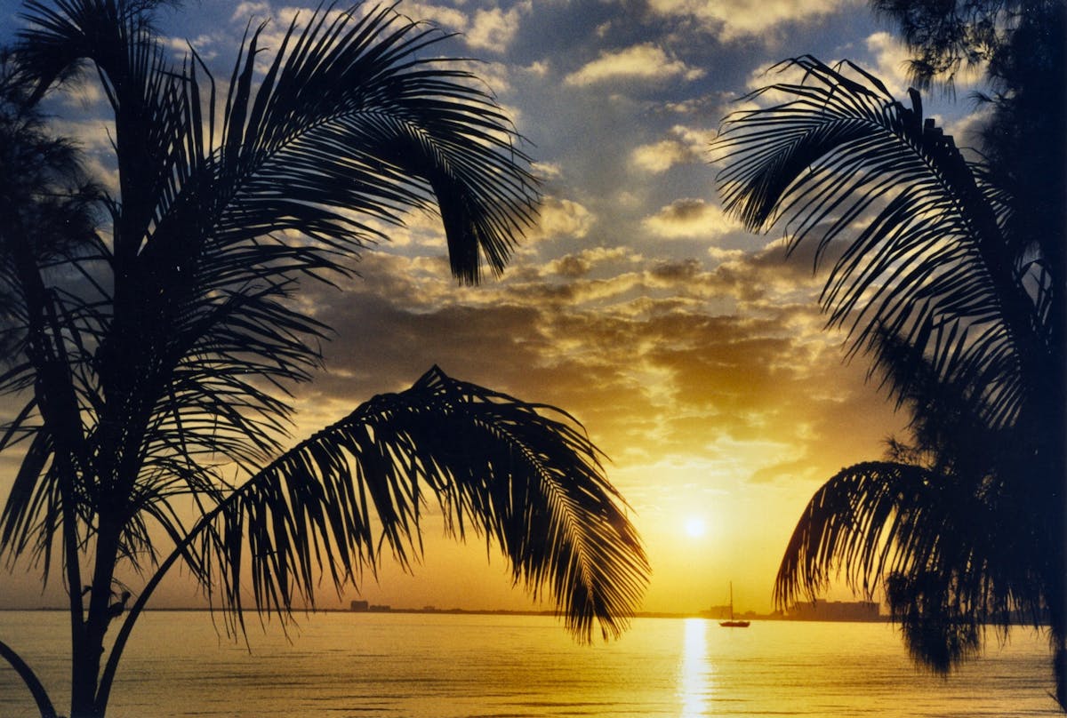 Miami sunset Cruise 4.jpg