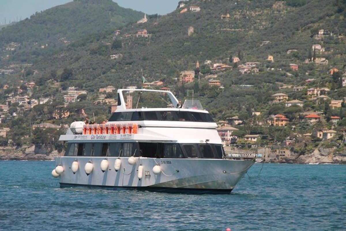 whalewatch-genova.jpg