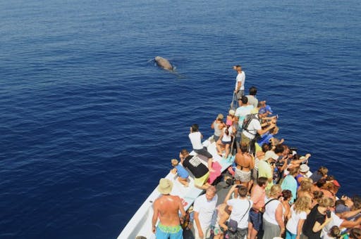 DSC_0008_GOLFO_PARADISO_02.jpg
