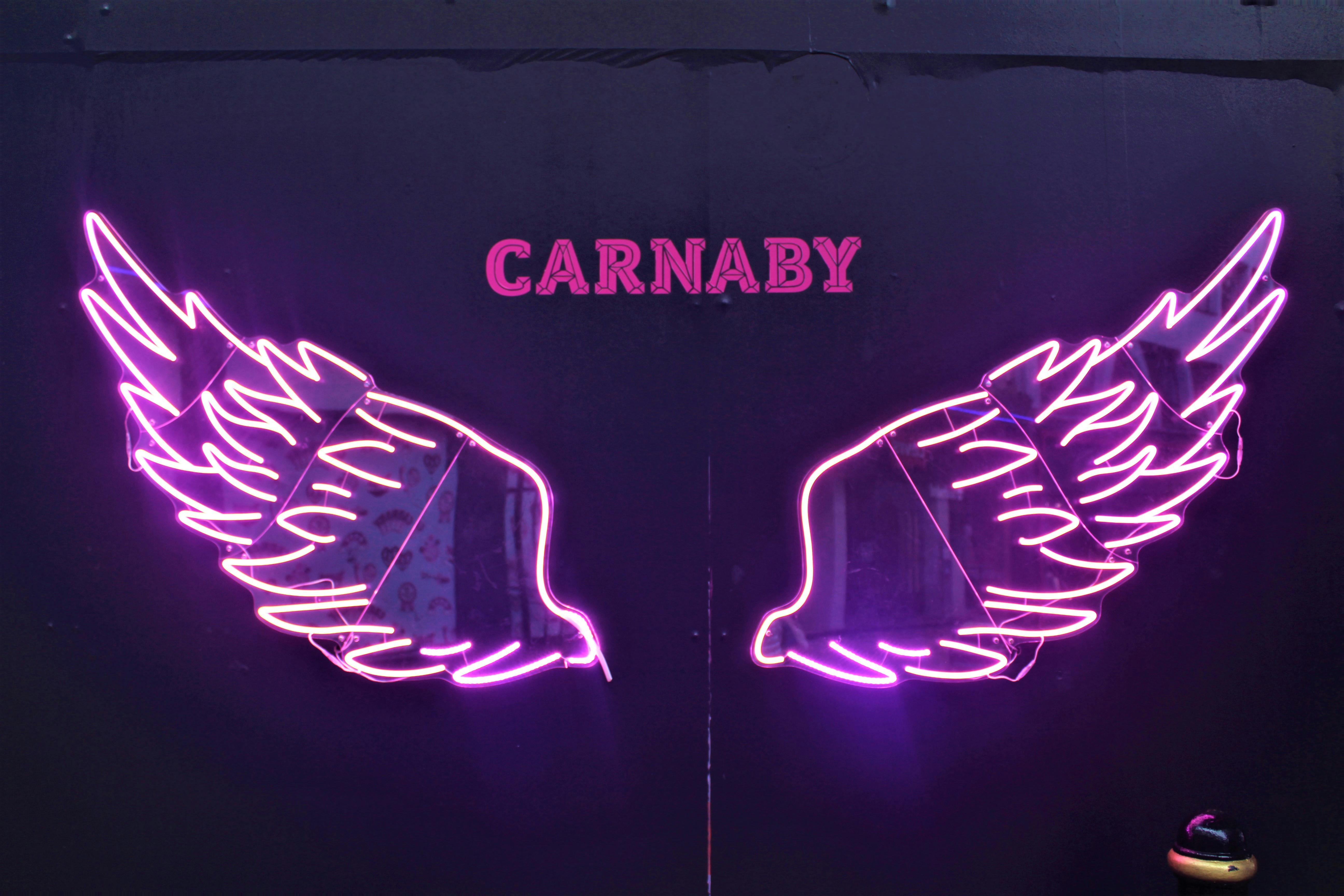 Carnaby Wings.jpg
