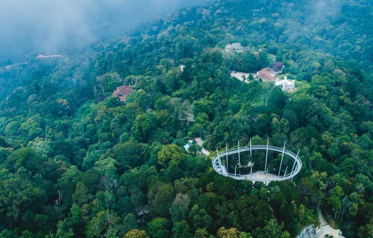 The Habitat Penang Hill self-guided canopy and treetop walk standard ticket
