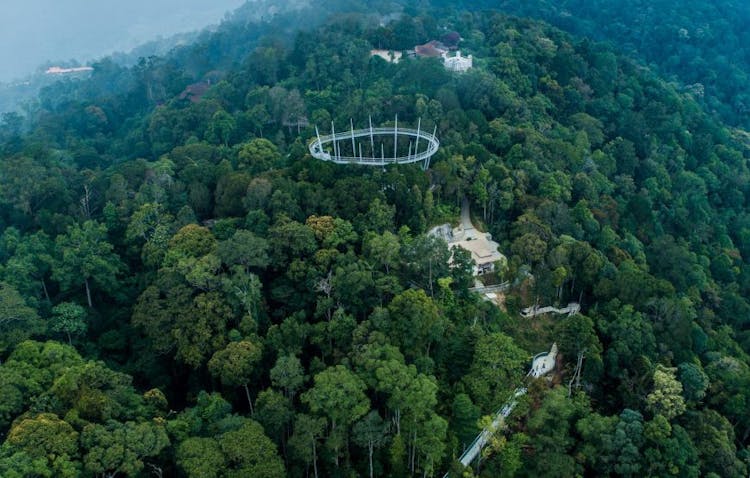 The Habitat Penang Hill self-guided canopy and treetop walk standard ticket