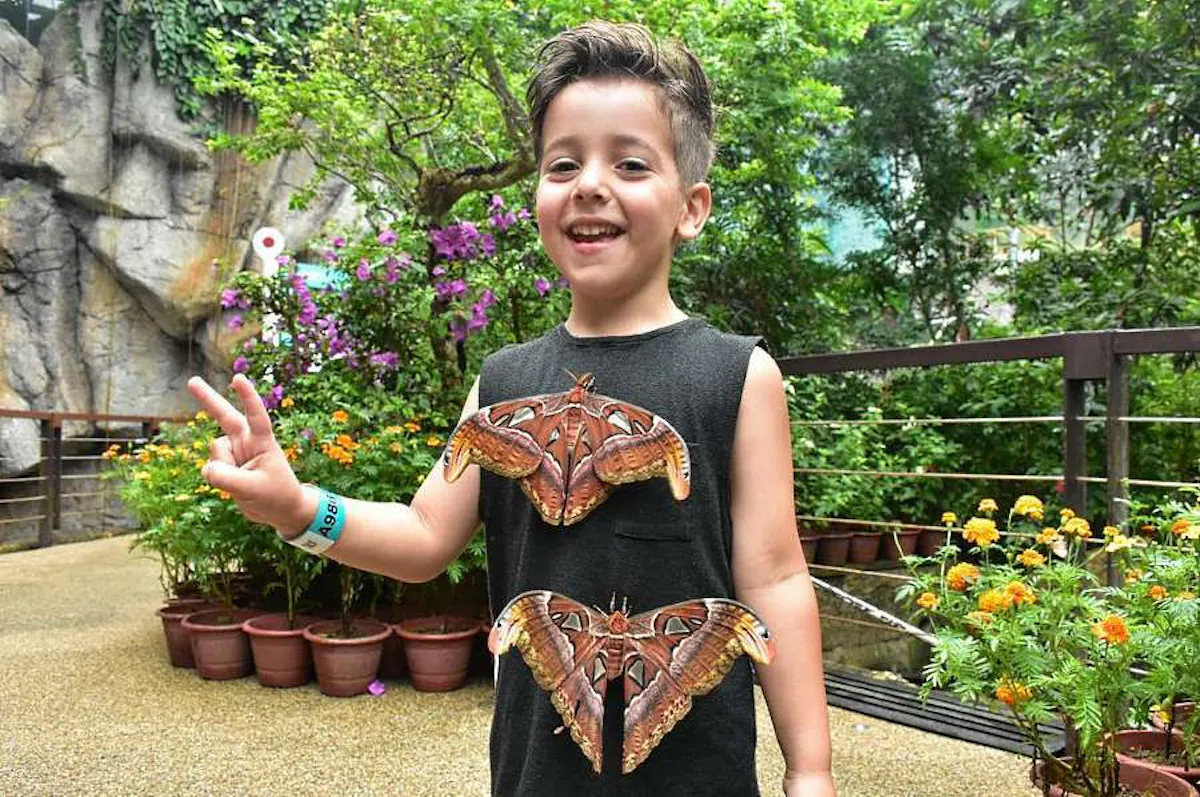 entopia_penang_ticket_lets_kids_see_butterfly_lg.jpg