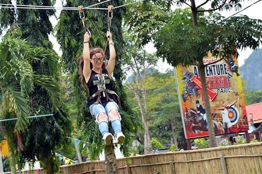 Flying_Fox_3_lg.jpg