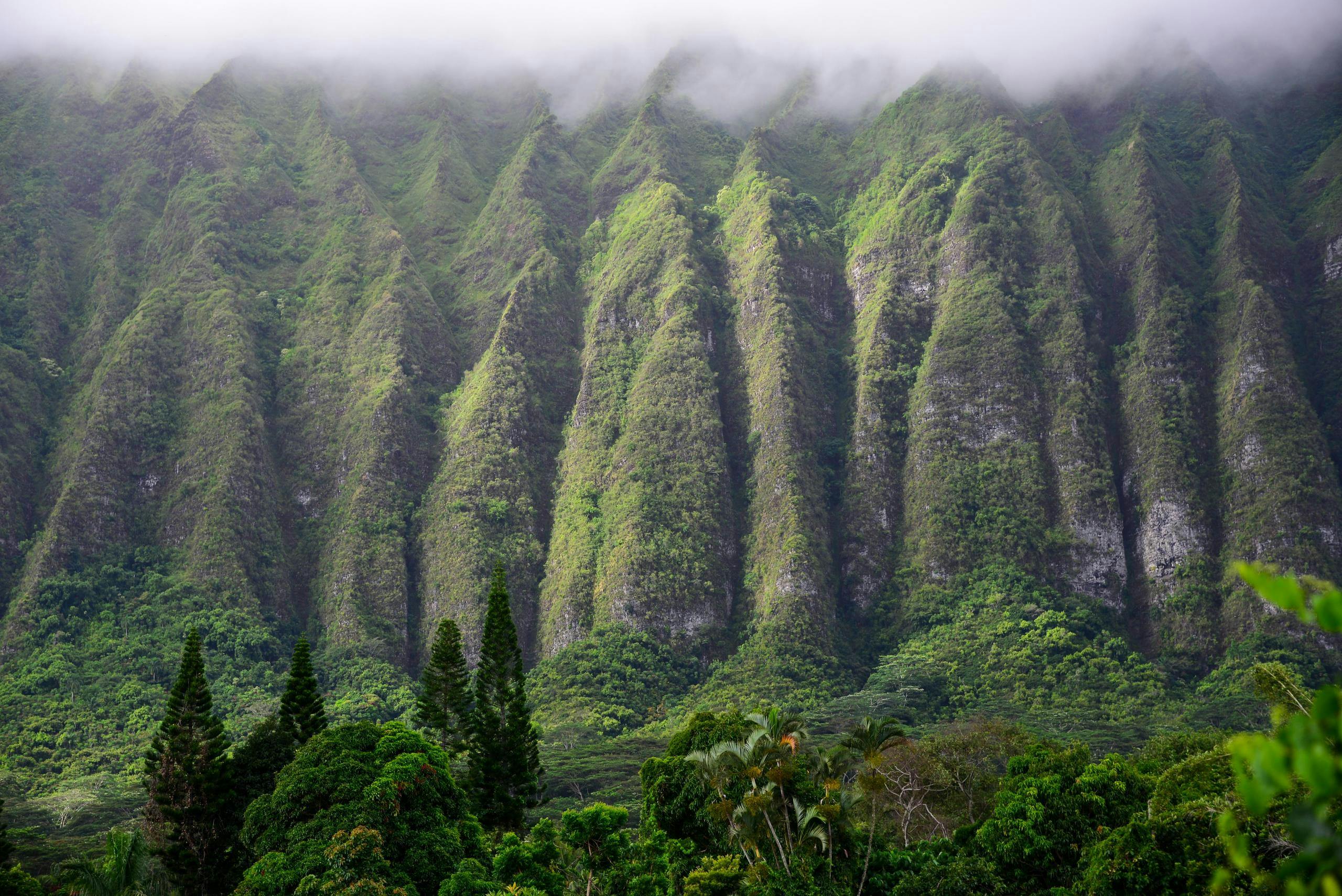 Oahu Photography tours - sunrise tour3.jpg