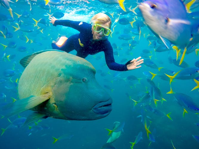 Northern Whitsunday Islands rafting tour