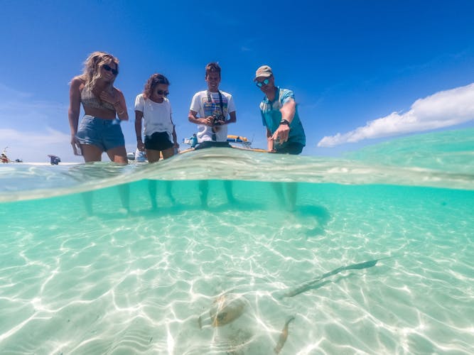 Northern Whitsunday Islands rafting tour