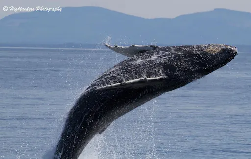 baby breach may 25th 1.jpg