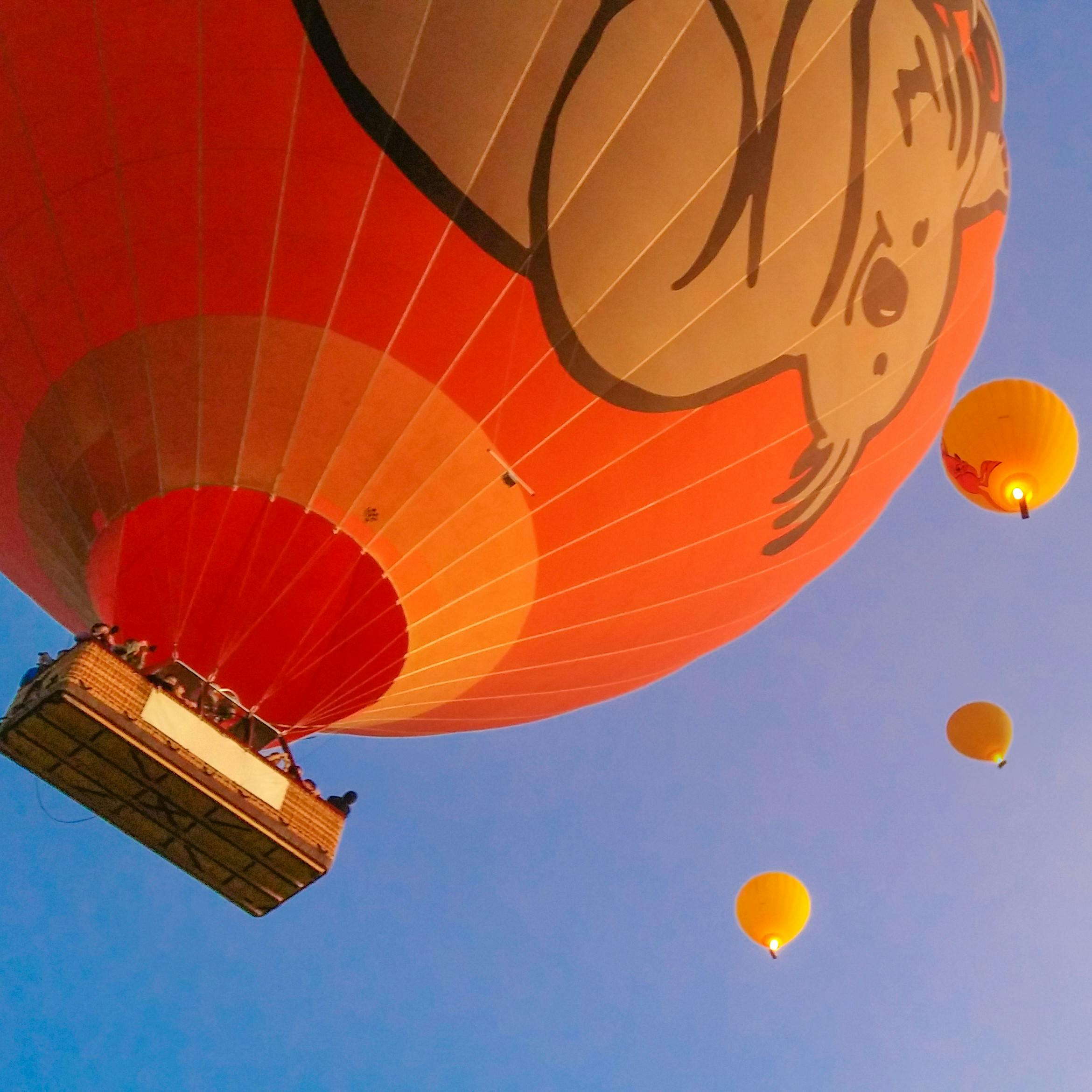 Hot Air Balloon Cairns-8.jpg