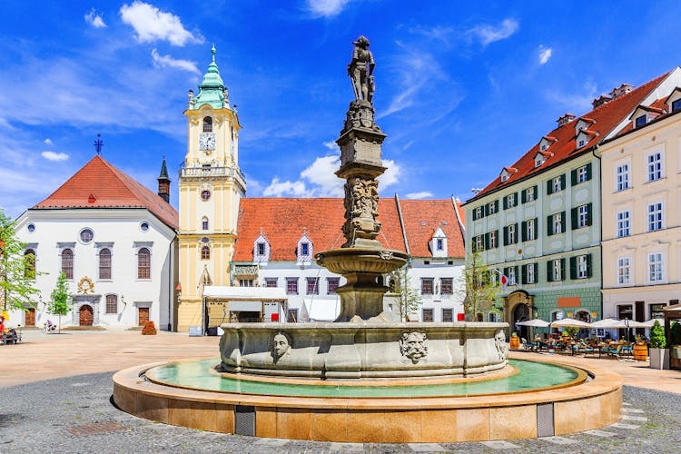 Private tour from Vienna to Bratislava with transport and guide