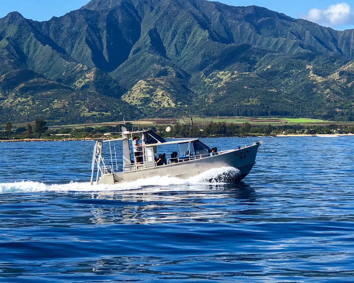 Oahu shark tour 2.jpeg