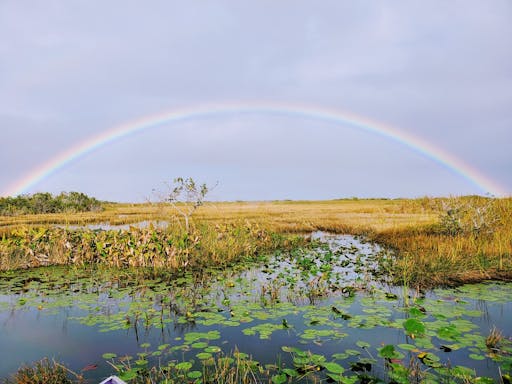 rainbow.jpg