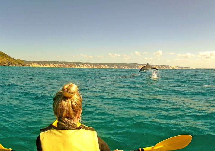 Noosa dolphin view sea kayak and beach 4X4 adventure day tour