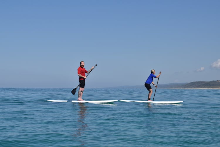 Stand Up paddle wildlife tour and beach 4x4 Noosa day trip