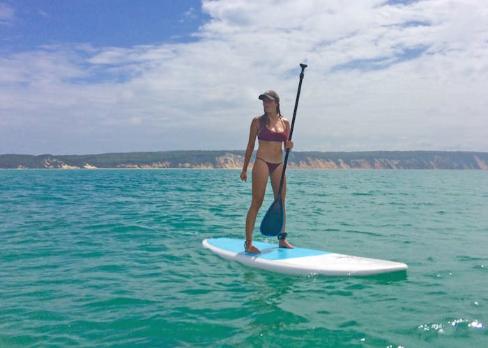 Stand Up paddle wildlife tour and beach 4x4 Noosa day trip