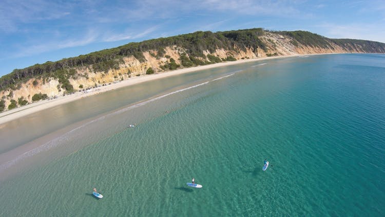 Stand Up paddle wildlife tour and beach 4x4 Noosa day trip