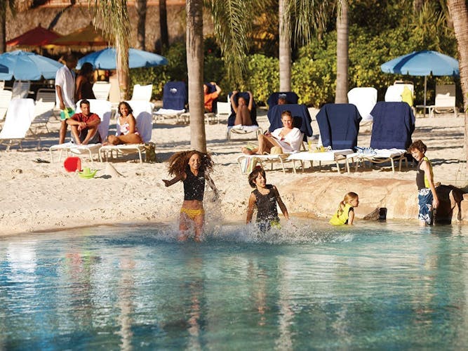 SeaVenture At Discovery Cove 2025 Ticket - 3