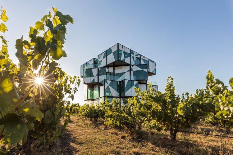 Adelaide's McLaren Vale and The Cube experience