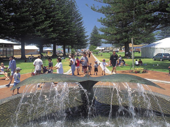 Victor Harbor and Southern Highlights full-day tour