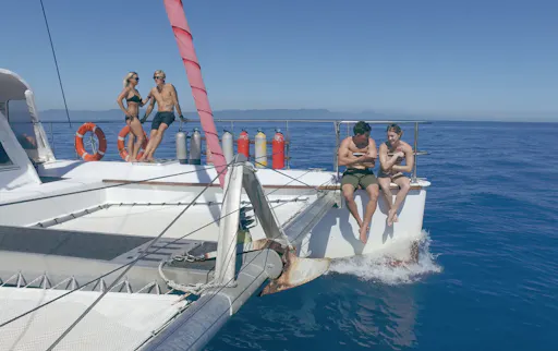 Screen Shot 2017-03-13 at 2.53.14 pm (1).png