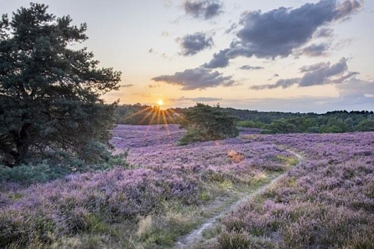 Self-guided interactive  nature trail of Landgraaf