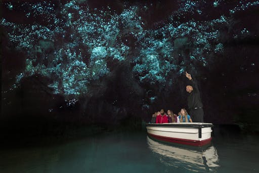 Waitomo Glowworm Caves 1.jpg