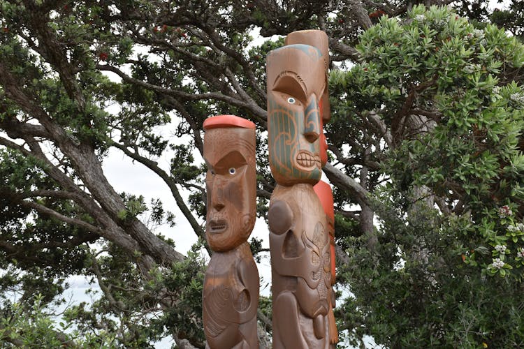 Auckland Maori full-day private tour