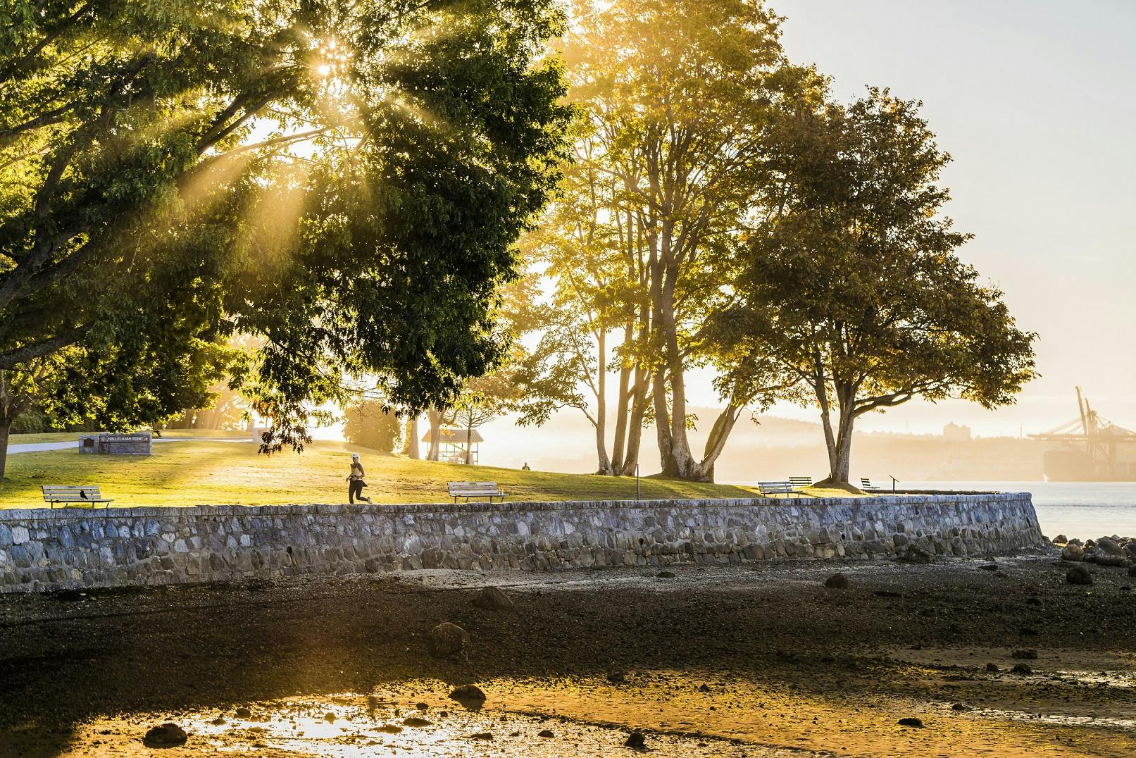 Stanley Park Runner on Seawall.jpg