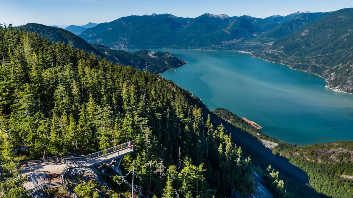 Chief Overlook aerial - Topo Films (5).JPG