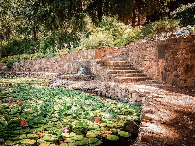 Guided hike in Araluen botanic park