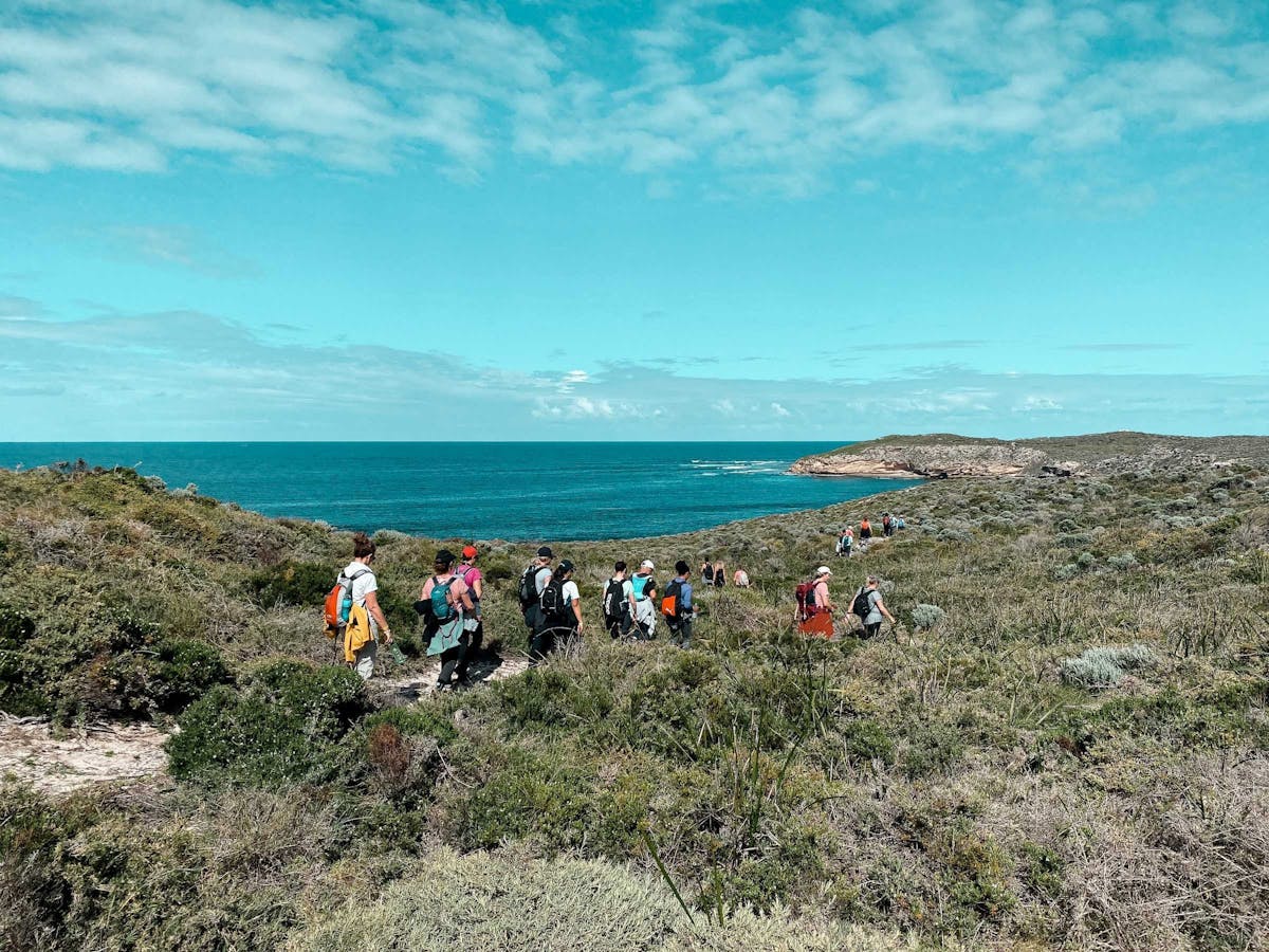 rottnest01.jpg