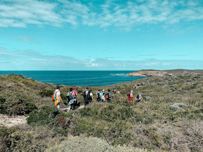 Guided Hike of Rottnest Island, lakes and bays