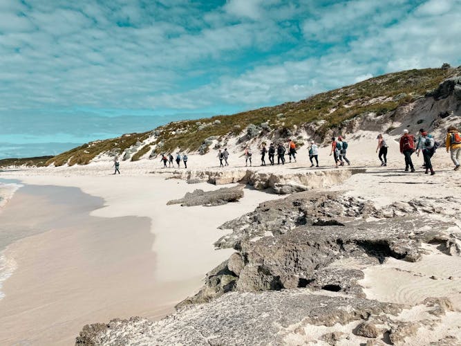 Guided Hike of Rottnest Island, lakes and bays