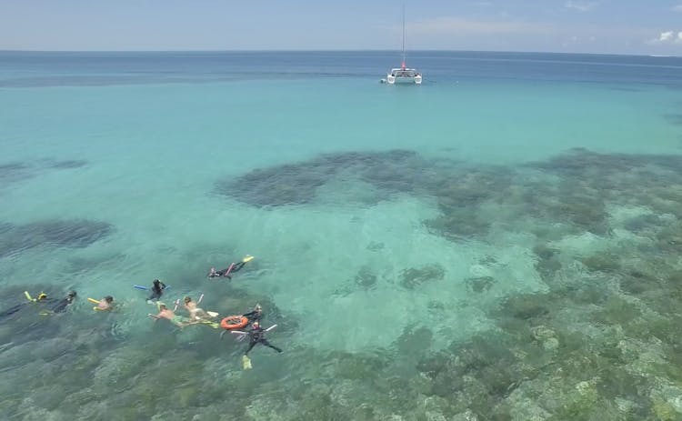 Reef Daytripper full day snorkel and scuba diving in Cairns