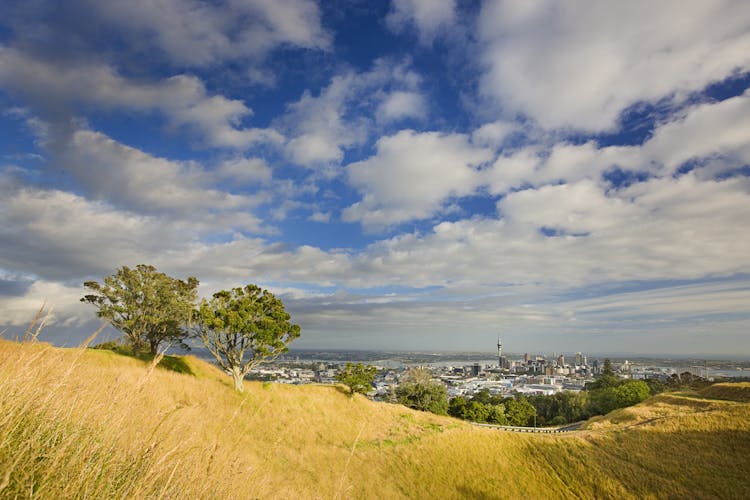 Auckland City and West Coast luxury small-group tour