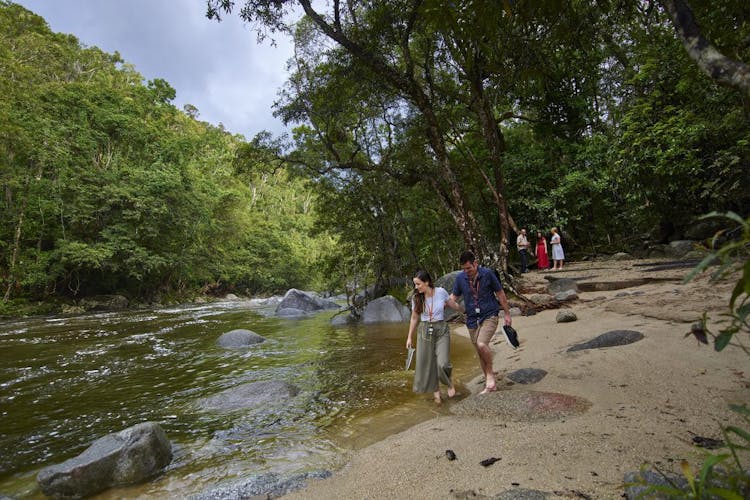Full-day Daintree and traditional Aboriginal fishing experience