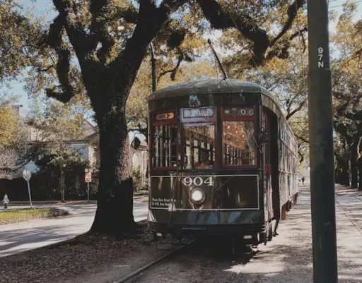 New Orleans Citywide Driving Tour 3.jpg