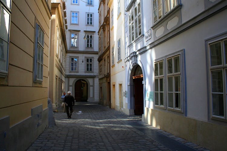 Private walking tour to Mozart in Vienna with optional concert