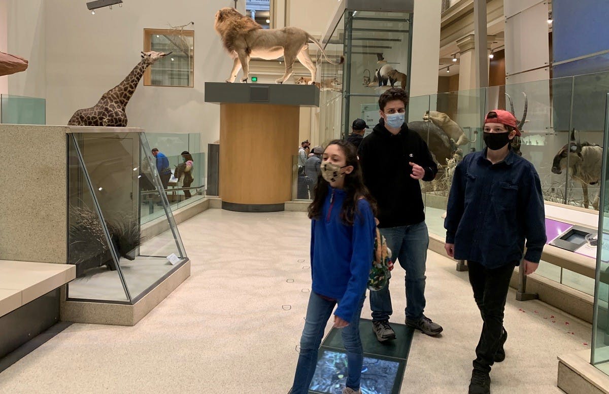 Washington National Museum of Natural History 3.jpg