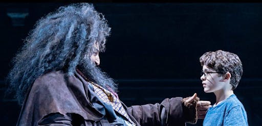 Harry Potter and the cursed child show 5.jpg
