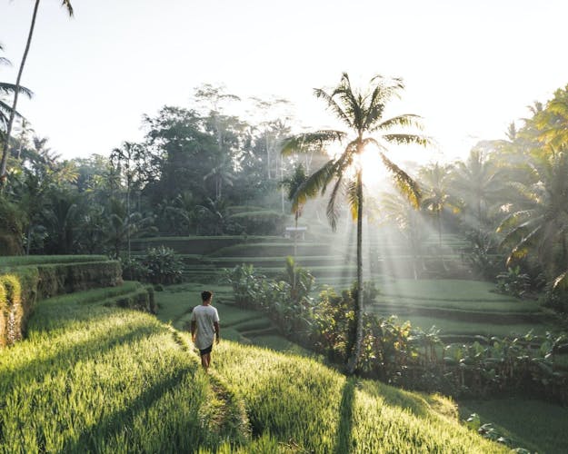 Best of Ubud private day tour