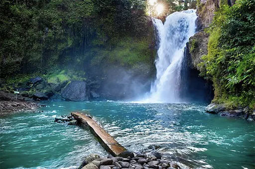 thumb_14363063_cover_header (1).jpeg