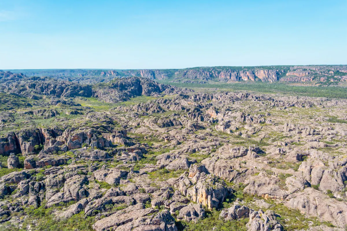 Dinosour Valley - Dry - 60 minute.jpg