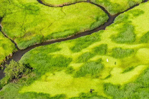 Magela Flood Plain  Dry  60 Minute _ Day Tour - Dry _ Wet - 30 Minute.jpg