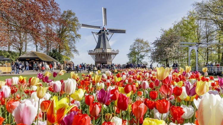 Best of Keukenhof guided tour with bulb farm visit and cruise