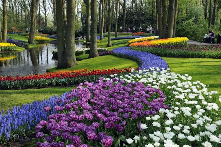 Skip-the-line Keukenhof ticket with transfer and windmill cruise