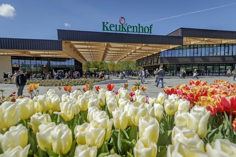 Skip-the-line Keukenhof ticket with transfer and windmill cruise