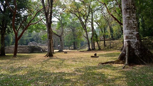 Lacandona Jungle tour 3.jpg